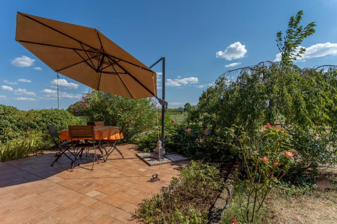 Appartamento Da Dede Cozy With Terrace And Private Parking! Gonàrs